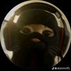 thearmycat2