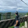 shinxjed