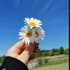 mariaarroliga24