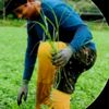 laxman.bal22