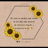 girasol_orta