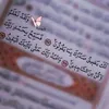 user5222381714660