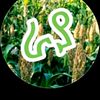 hayath14344