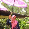 titik5014