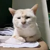 dangirayjr3