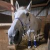 briarmeadows1