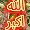 الله اكبر
