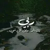 saeab6