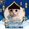 haikal_m201