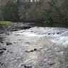 andrewdoyle40
