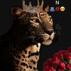 riyo271
