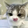 kitti_4_4