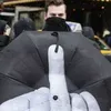 xlamnews