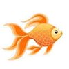 goldfish1955