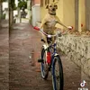 arthur_xyz0