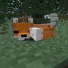 luciana.theminecrafter