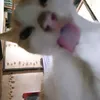 odorididididididididi
