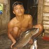 yandymahendra4