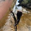 fishing_wth_dom