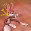 Memes Junk