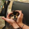 miathv_jk
