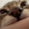 fwsleepie