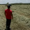 daniel_st64
