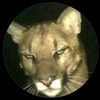 joselitho_17_28