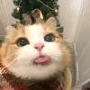 wei.meomeo