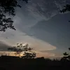 tupatsayur_8