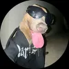 gtrxikk