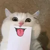 icemendel