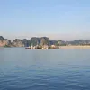 laihopquang