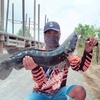 angler_musiman46