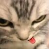 nabielsky_