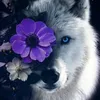 clea.violet
