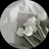 z.s1ttar