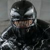 venom13venom