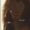 _xatin4