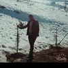 a_s_a_800