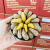 linhchifood