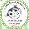 projeto_gamba_pacoquinha