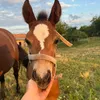 hoovesandherbs