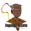 Impunga Yesintu Ingwe