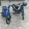 8anasis0