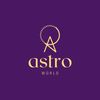 Anees Astro world