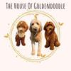 Thehouseofgoldendoodle