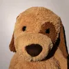 doggodavinci