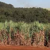 Combate/Prevenção De Incêndio