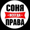 sofiadmitrishina3464